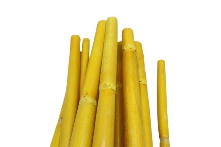 Canna Stiele 1Meter gelb02 M