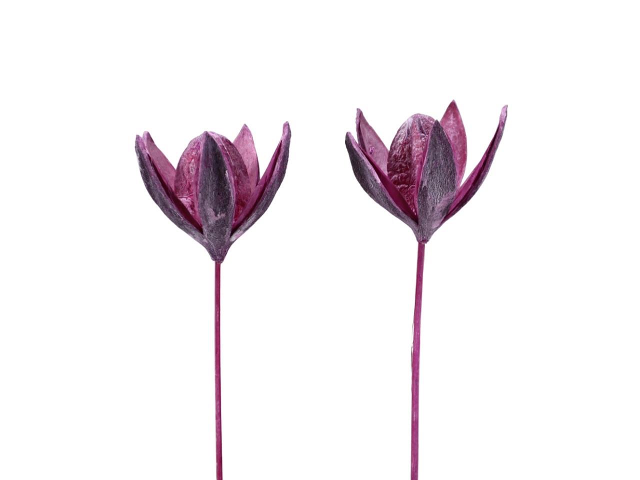 Wildlilie gestielt B8H6L45 brombeer frosted