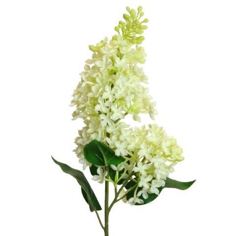Flieder soft touch 75cm creme Flieder soft touch 75cm creme