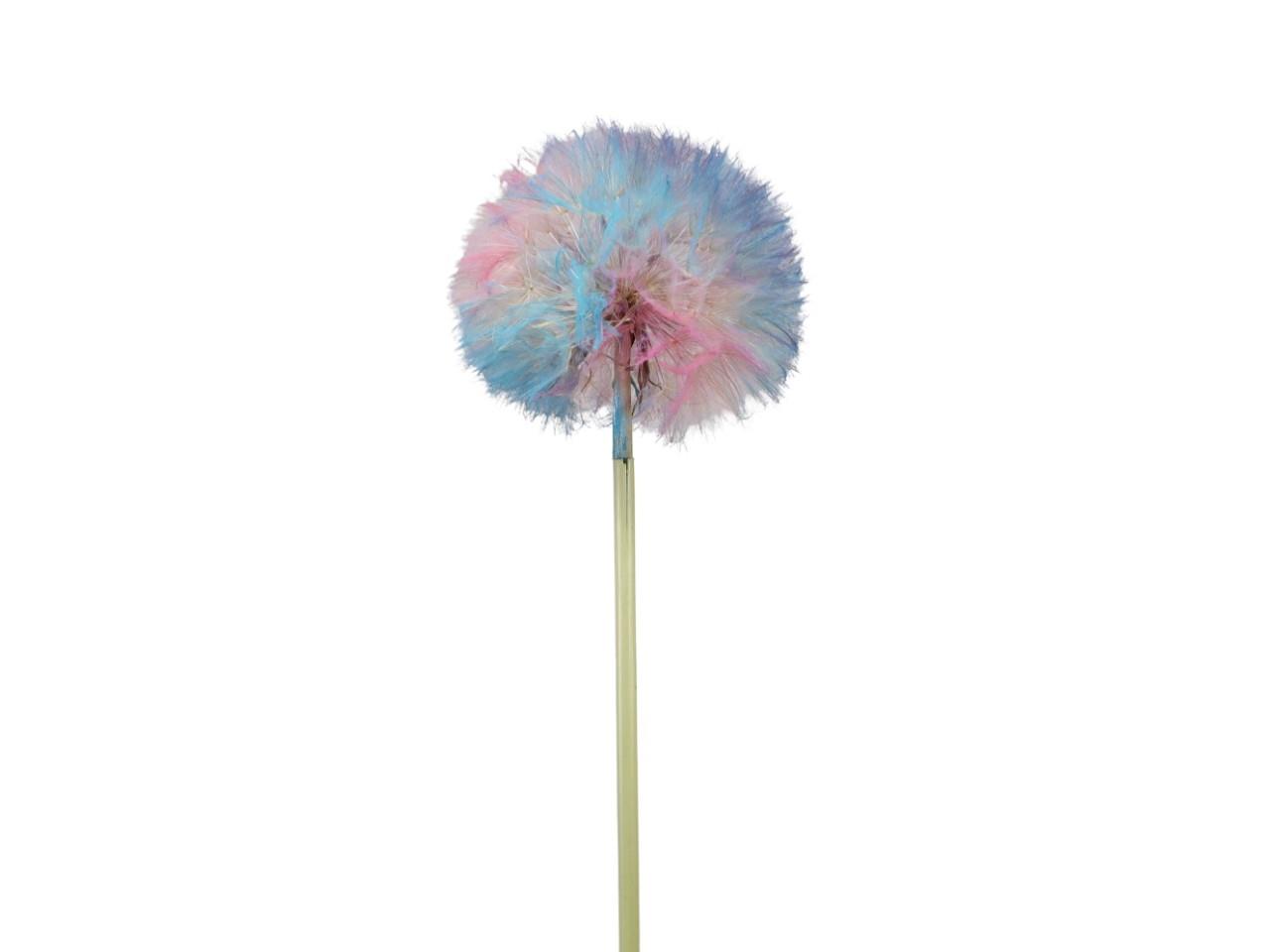 Löwenzahn Durchmesser 12cm mit Stab bunt Löwenzahn Durchmesser 12cm mit Stab bunt