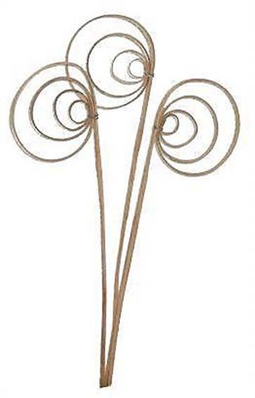 Cane Coil natur