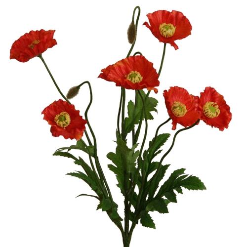 Mohnbusch 35 cm rot