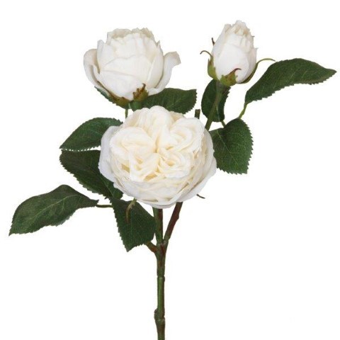 Rose Englisch 3 Blüten 41cm creme