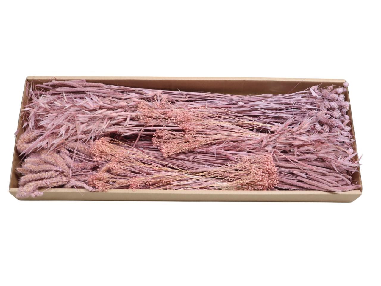 Gräser sort. 350 gr. altrosa Gräser sort. 350 gr. altrosa