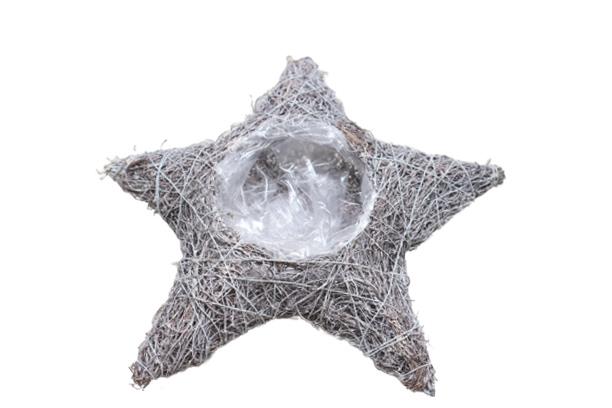 Stern z. Pflanzen Rebe gekalkt D28cm