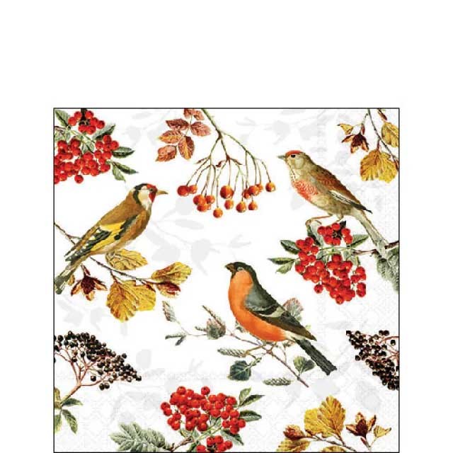 Serviette 25x25 cm Herbstvögel