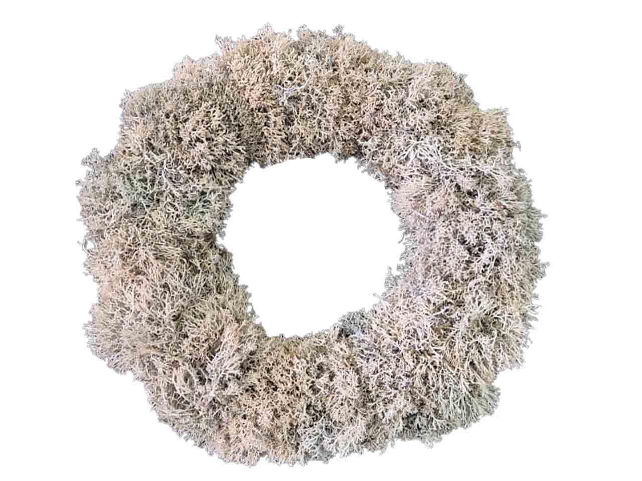 Kranz Igelmoos präpariert 45cm stone wasehed weiß Kranz Igelmoos präpariert 45cm stone wasehed weiß
