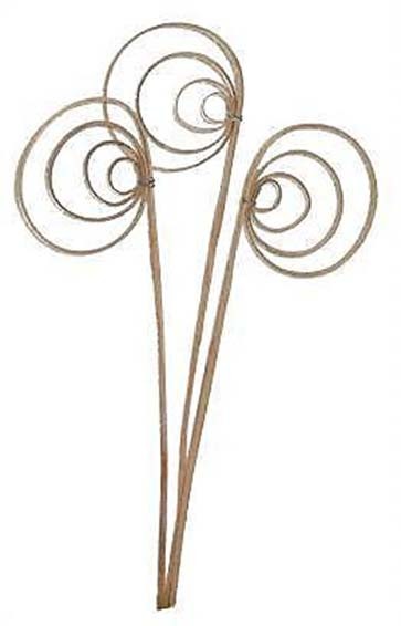 Cane Coil natur