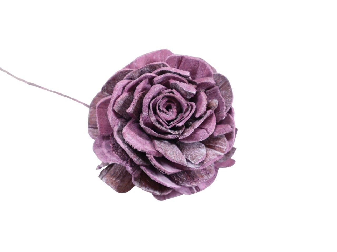 Rose Sola am Draht 8cm brombeer frosted