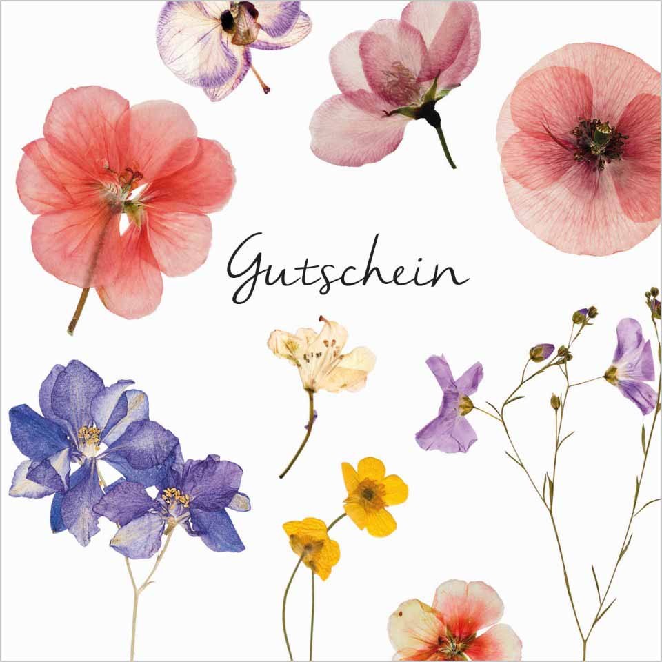 Gutscheine Any Time 12x12 cm