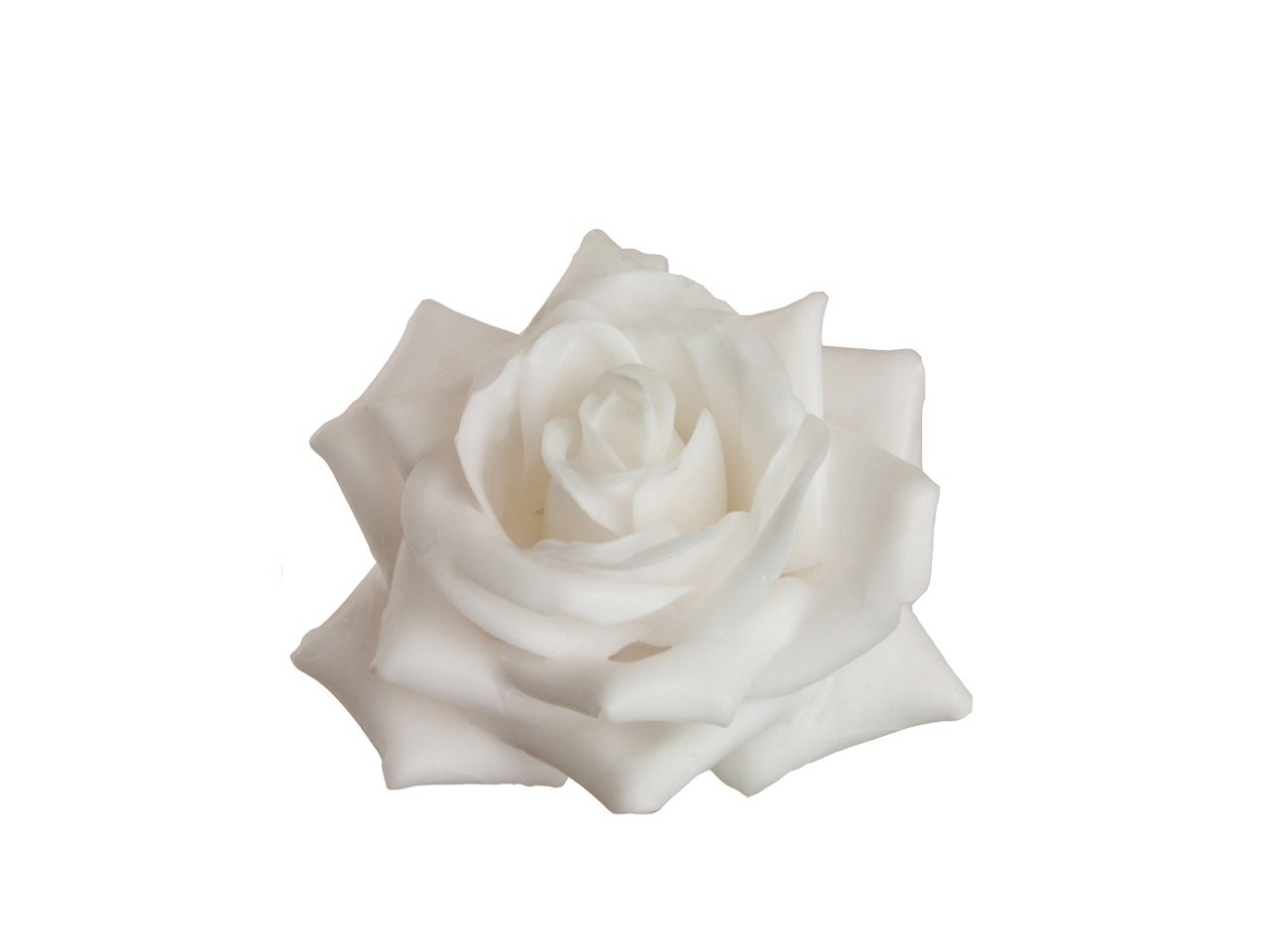 Rosenblüte Wachs 11cm weiss in Holzbox