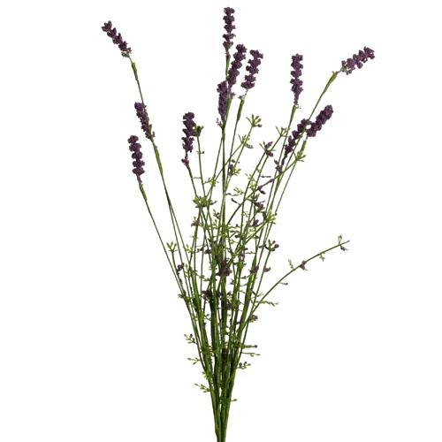 Lavendelbusch 54 cm lavendel