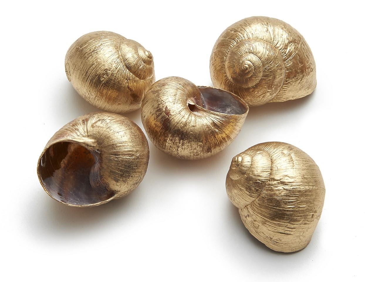 Landschnecke groß gold 125gr.