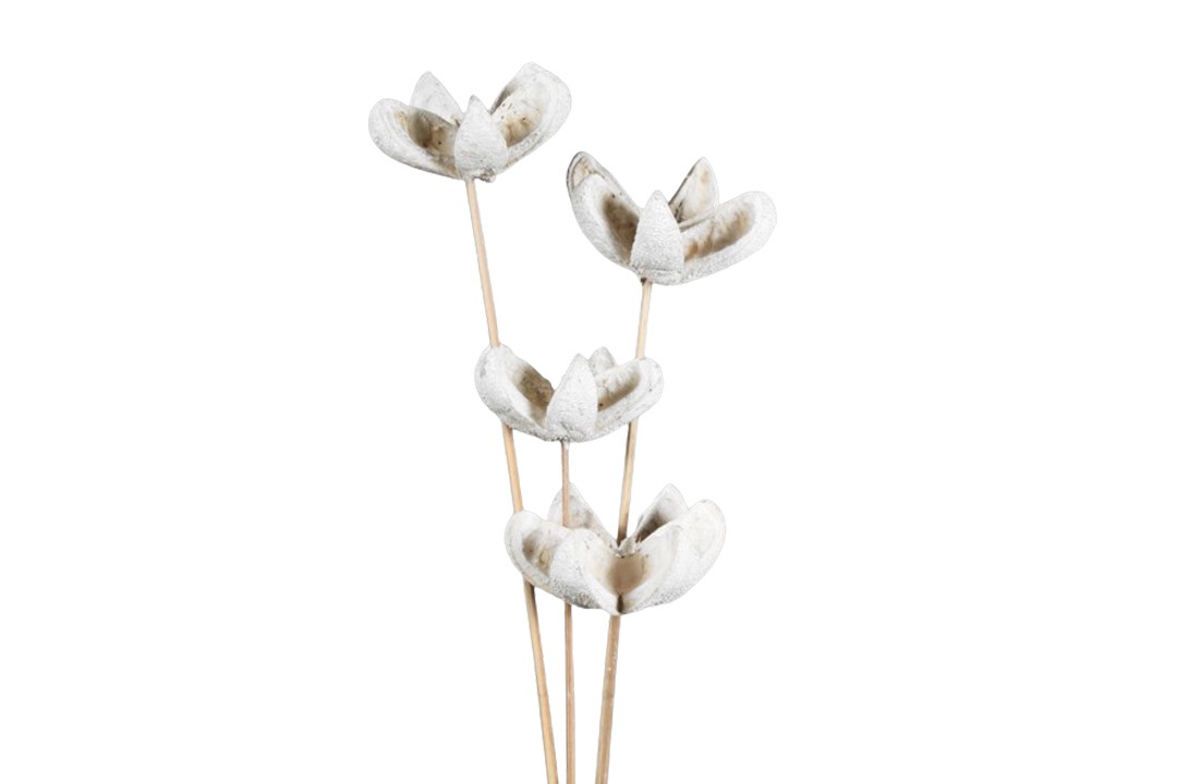 Bullet Blume gestielt D8H4L35cm white washed