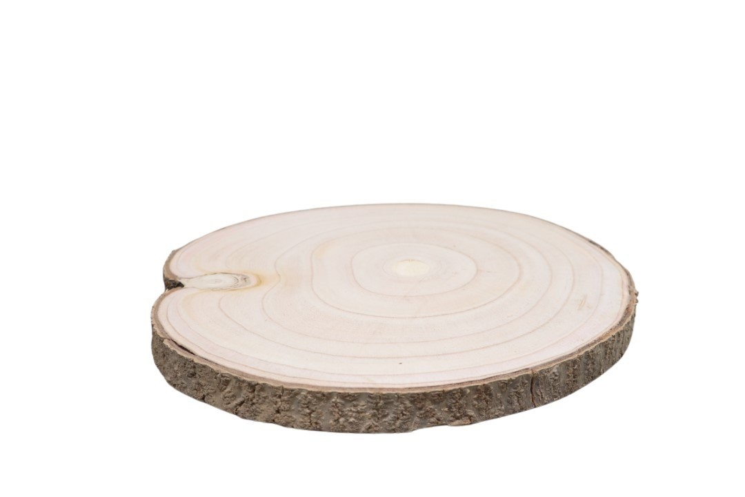 Baumscheibe Holz natur D32-35cm Stärke 2,5cm