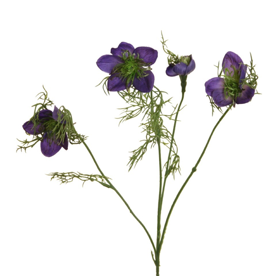 Nigella 55 cm blau