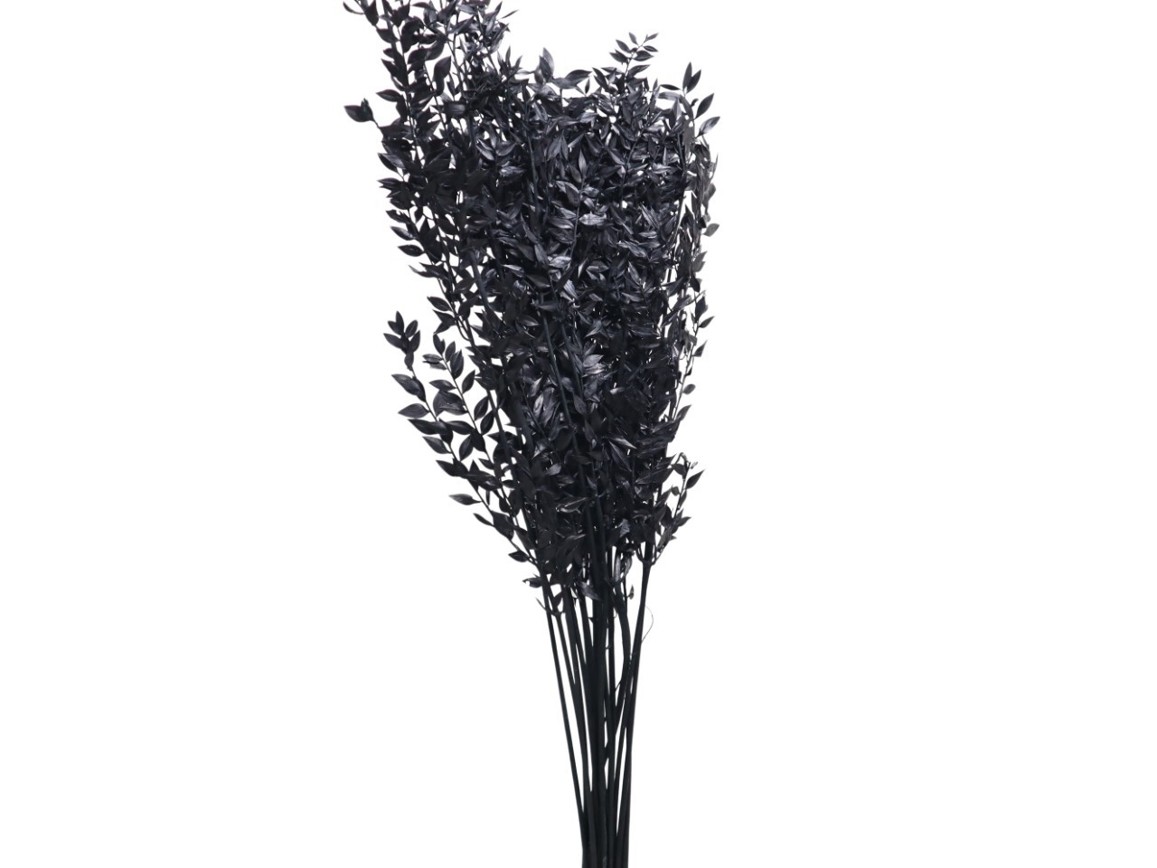 Ruskus 400gr. schwarz