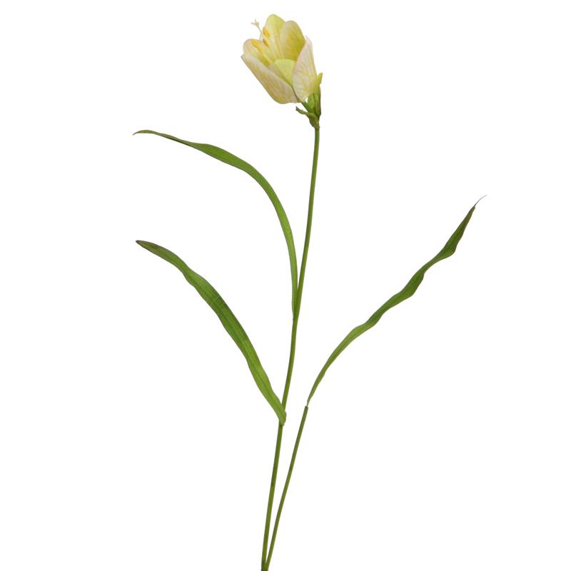 Fritillaria 51 cm creme Fritillaria 51 cm creme