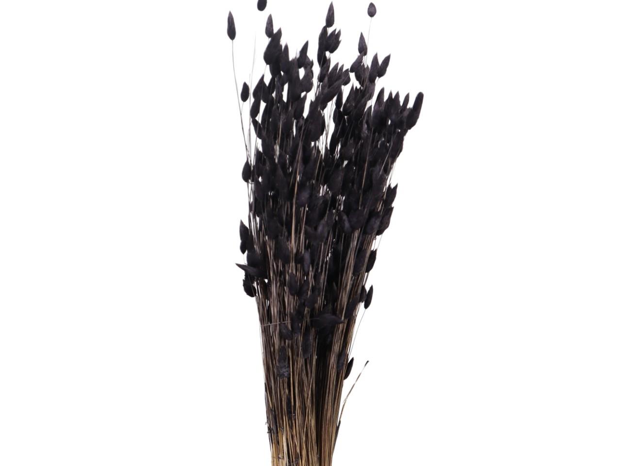 Lagurus schwarz mini 100gr.