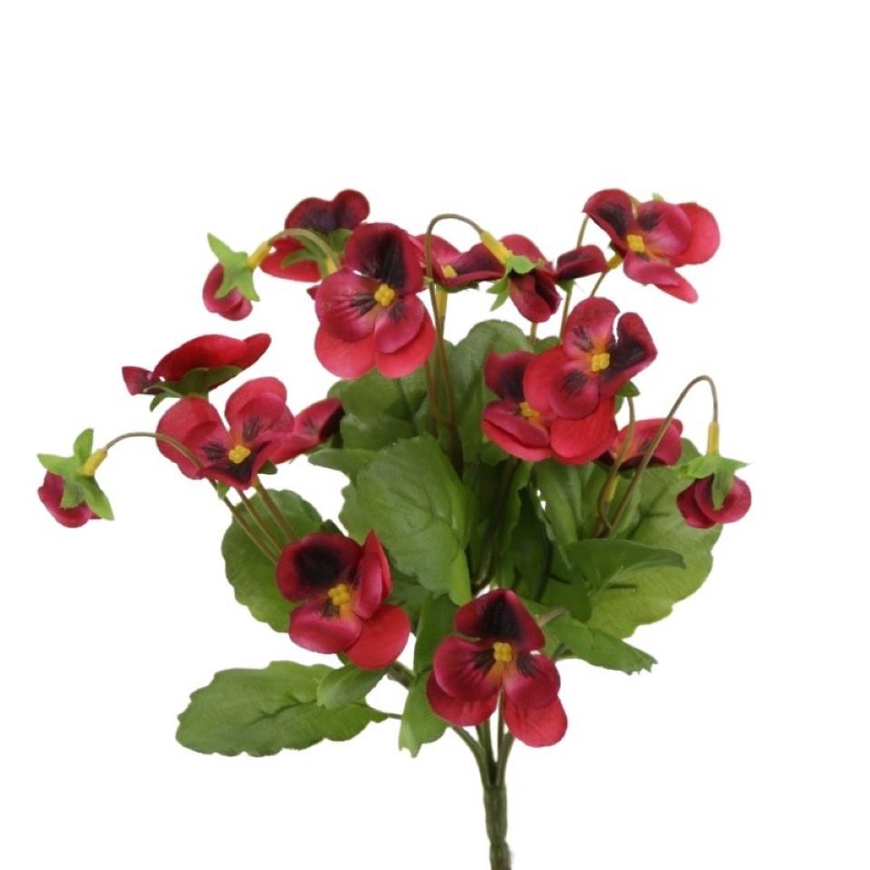 Hornveilchenbusch 5fach beauty H21cm Hornveilchenbusch 5fach beauty H21cm