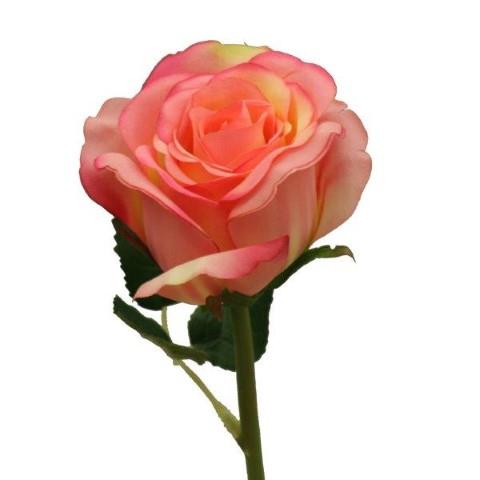 Rosenpick 31 cm rose