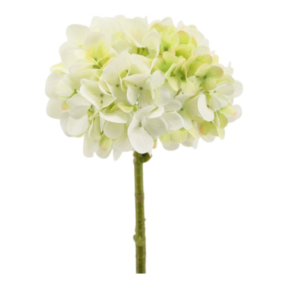 Hortensie creme-grün H47cm