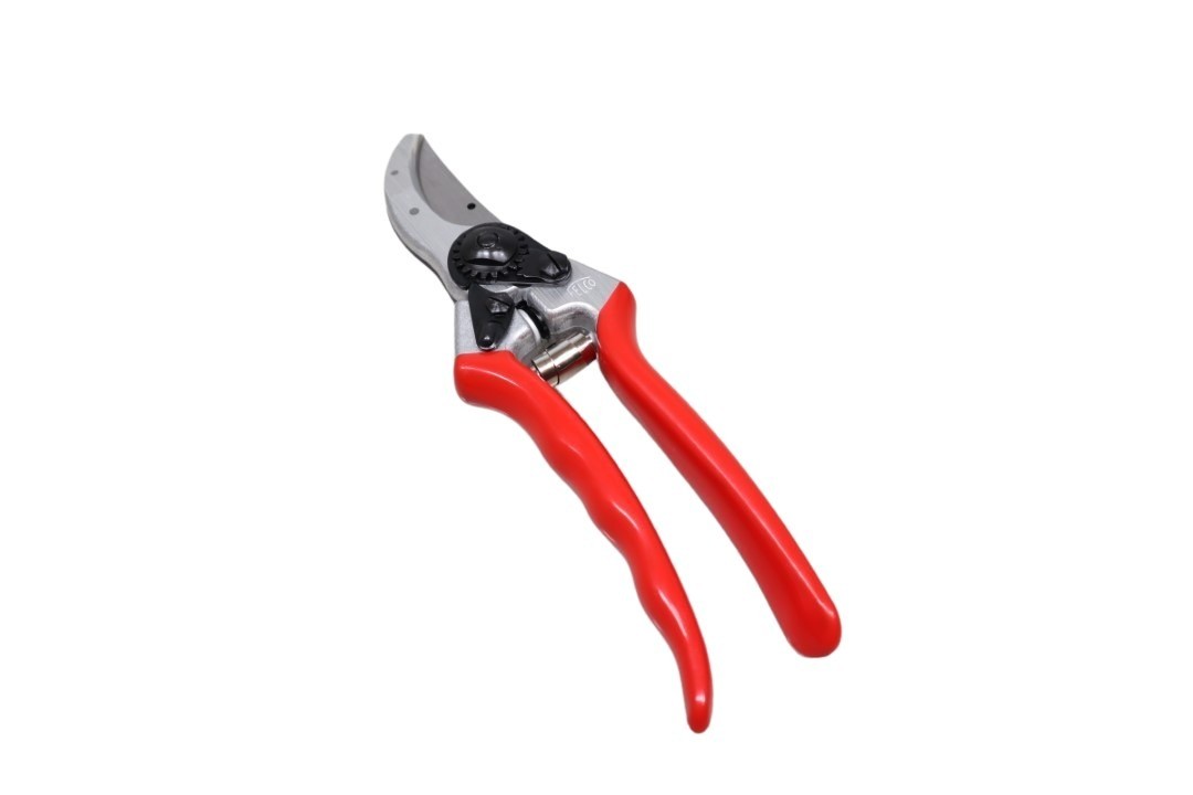 Felco Schere Nr. 2 Klassik NETTO