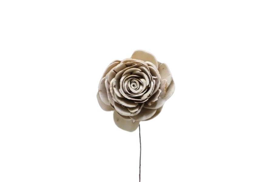 Sola Piza Beli D8cm natur am Draht