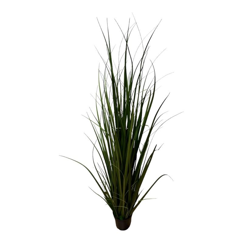 Grasbusch 120 cm im Topf grün Grasbusch 120 cm im Topf grün