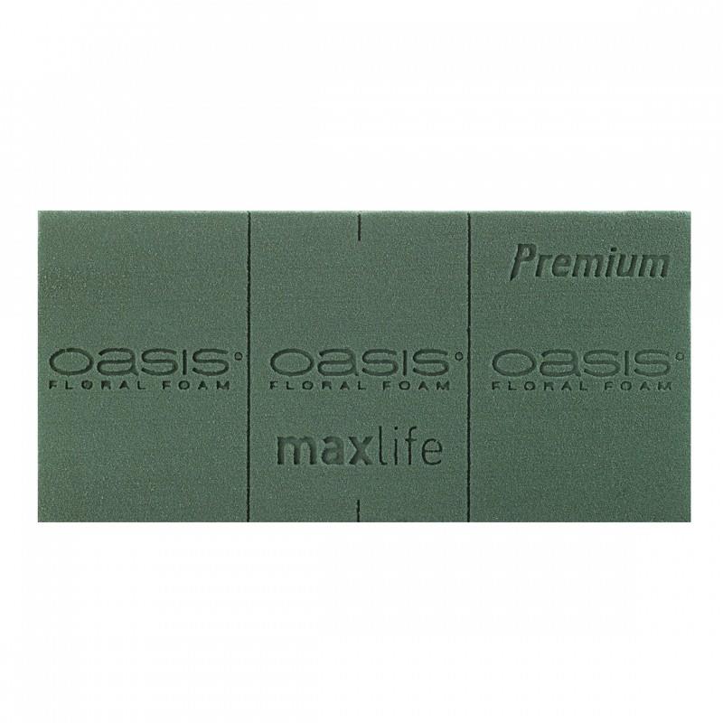 OASIS Premium Blumensteckschaum 20 Ziegel NETTO