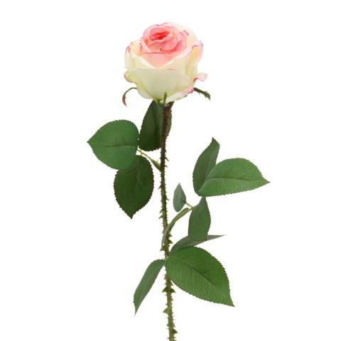 Rose 60 cm rosa-cream
