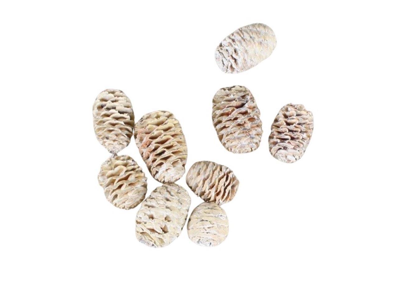 Zapfen Sabulosum D3H4-5cm 1kg white washed