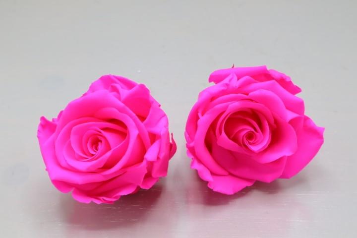 Rose stabilisiert bright pink NETTO