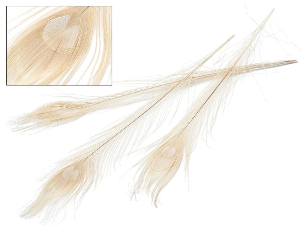 Pfauenfeder gebleicht 90-100cm
