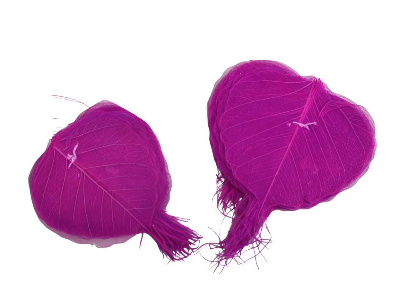 Skeleton-Blätter 6-10 cm sort. 200 Stück brombeer