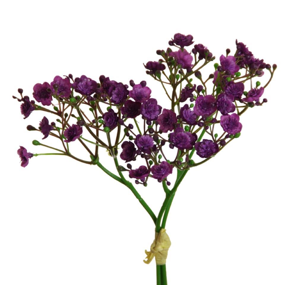 Gypso/Schleierkraut Bündchen 3 Stiele purple H30cm Gypso/Schleierkraut Bündchen 3 Stiele purple H30cm