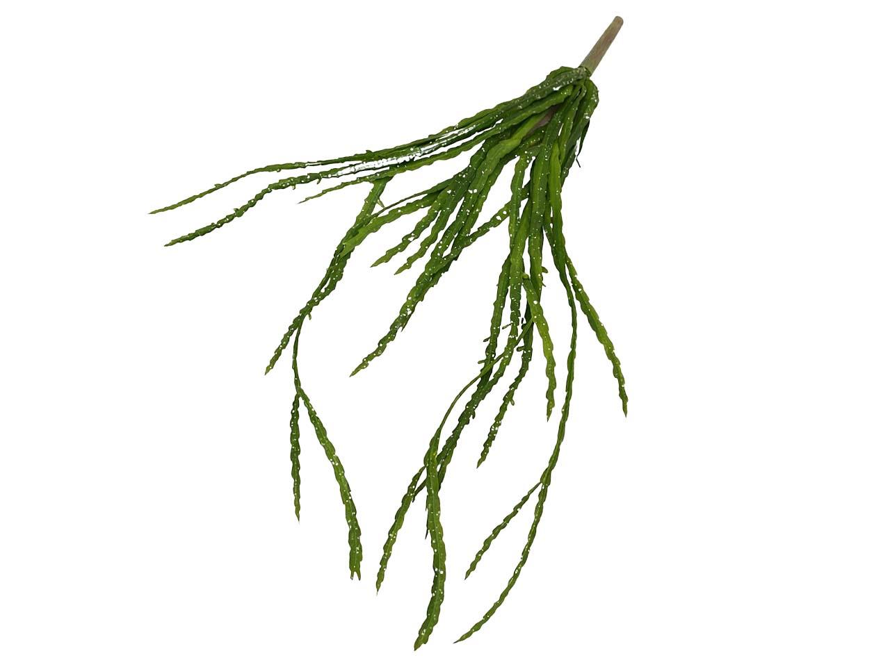 Kaktuspflanze hängend grün L68cm