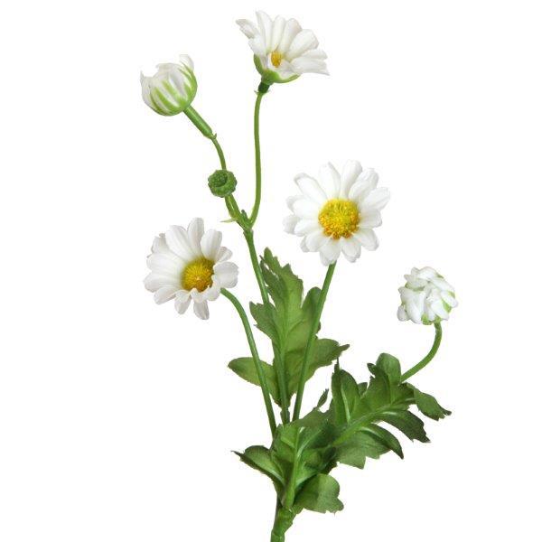 Margerite Zweig H27cm creme