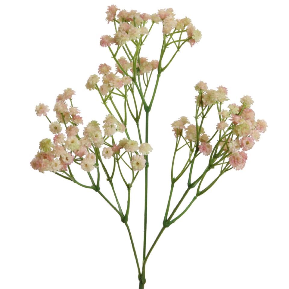 Gypsophilia/Schleierkraut Soft Touch rosa H62cm