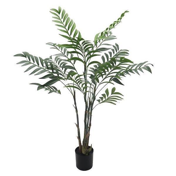 Topfpflanze Arecapalme H90cm grün