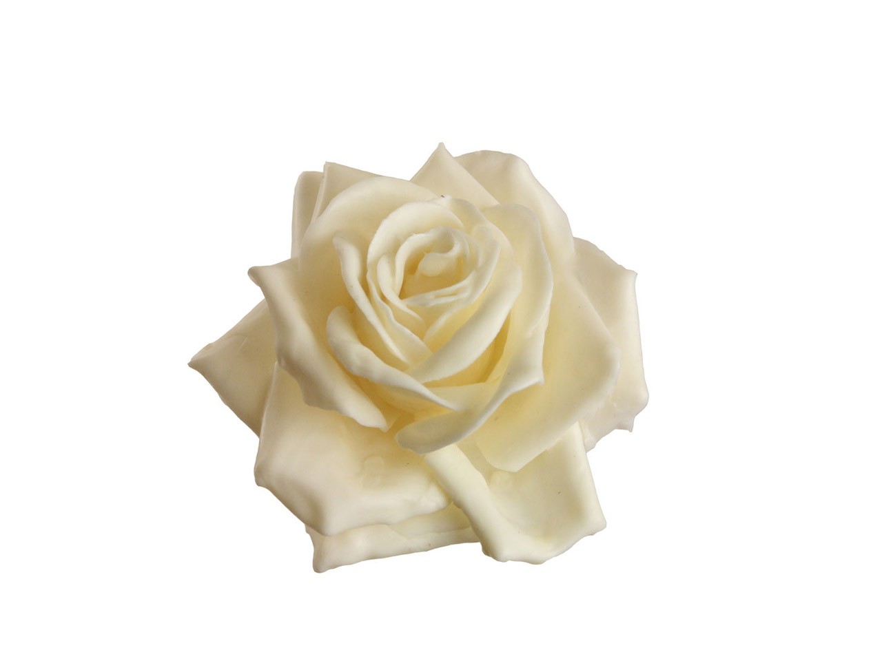 Rosenblüte Wachs 11cm creme in Holzbox