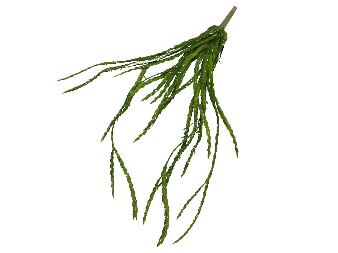 Kaktuspflanze hängend grün L68cm