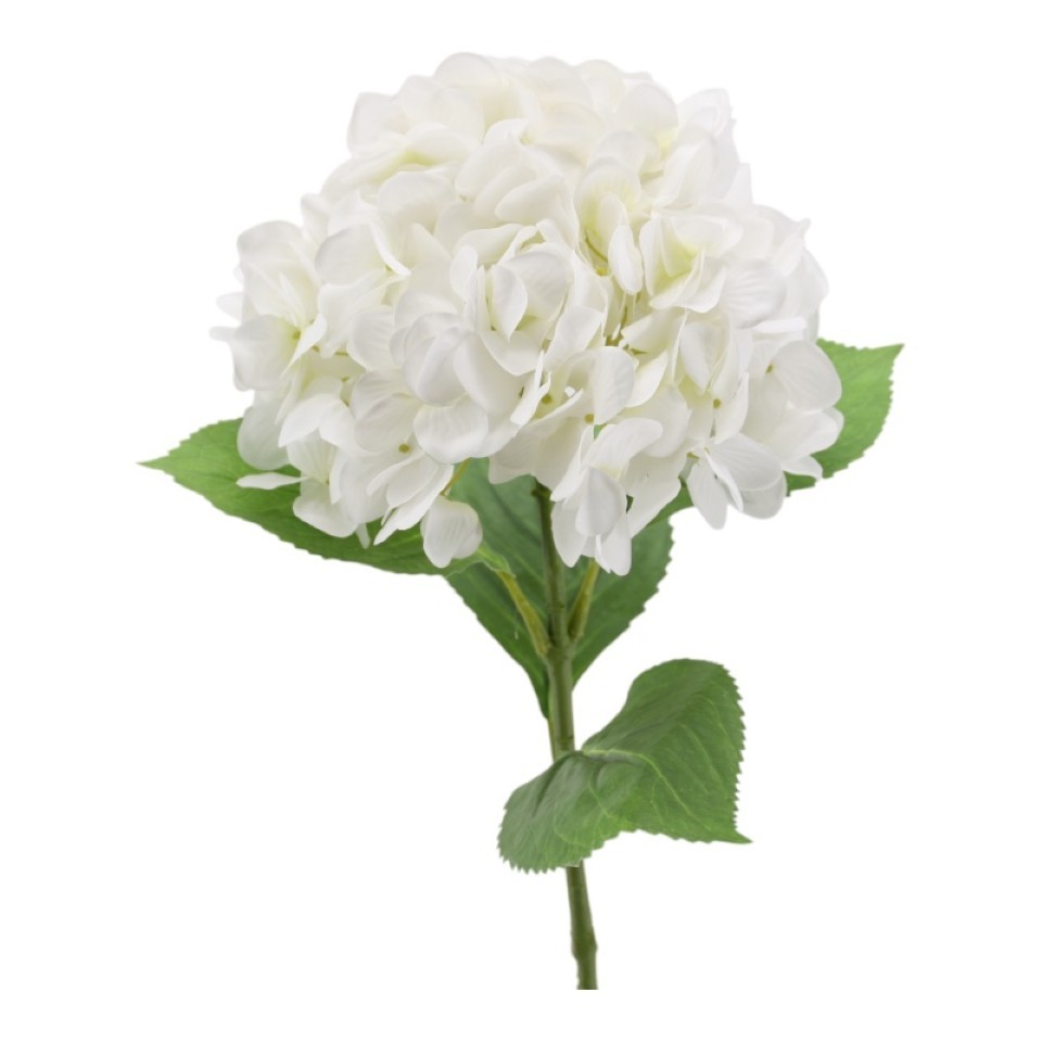 Hortensie 70cm weiß