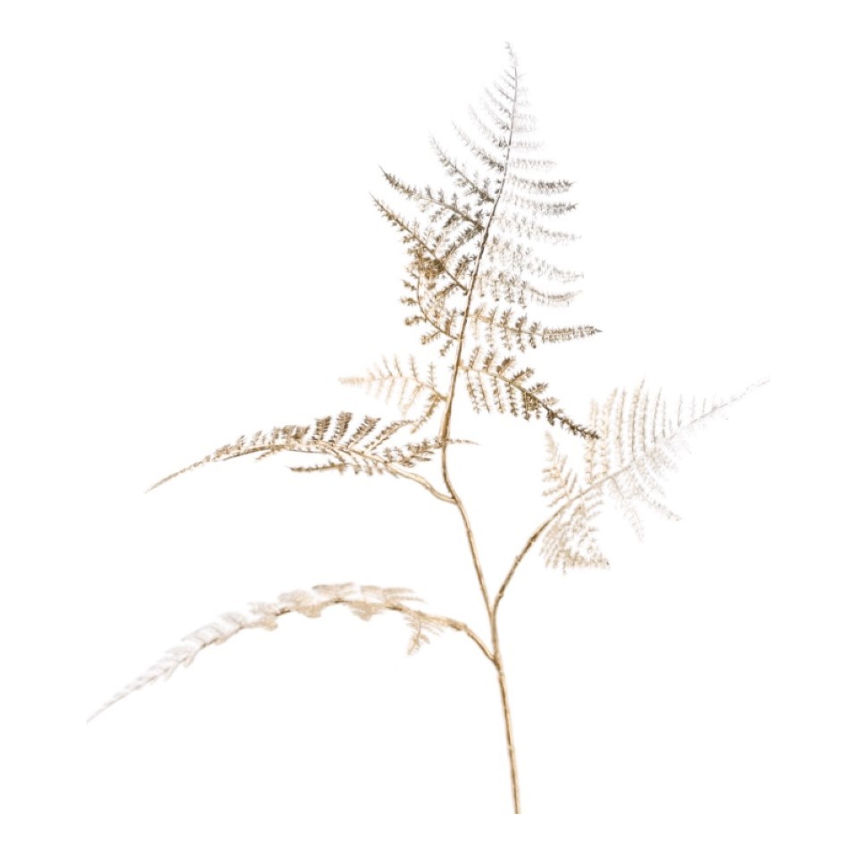 Farnzweig 4fach verzweigt gold H58cm