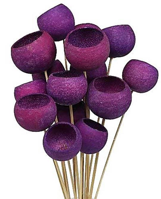 Bell Cup gestielt D7 L55cm brombeer