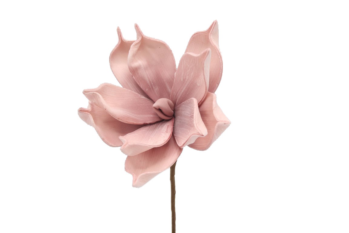 Magnolie Foam altrosa D18cm