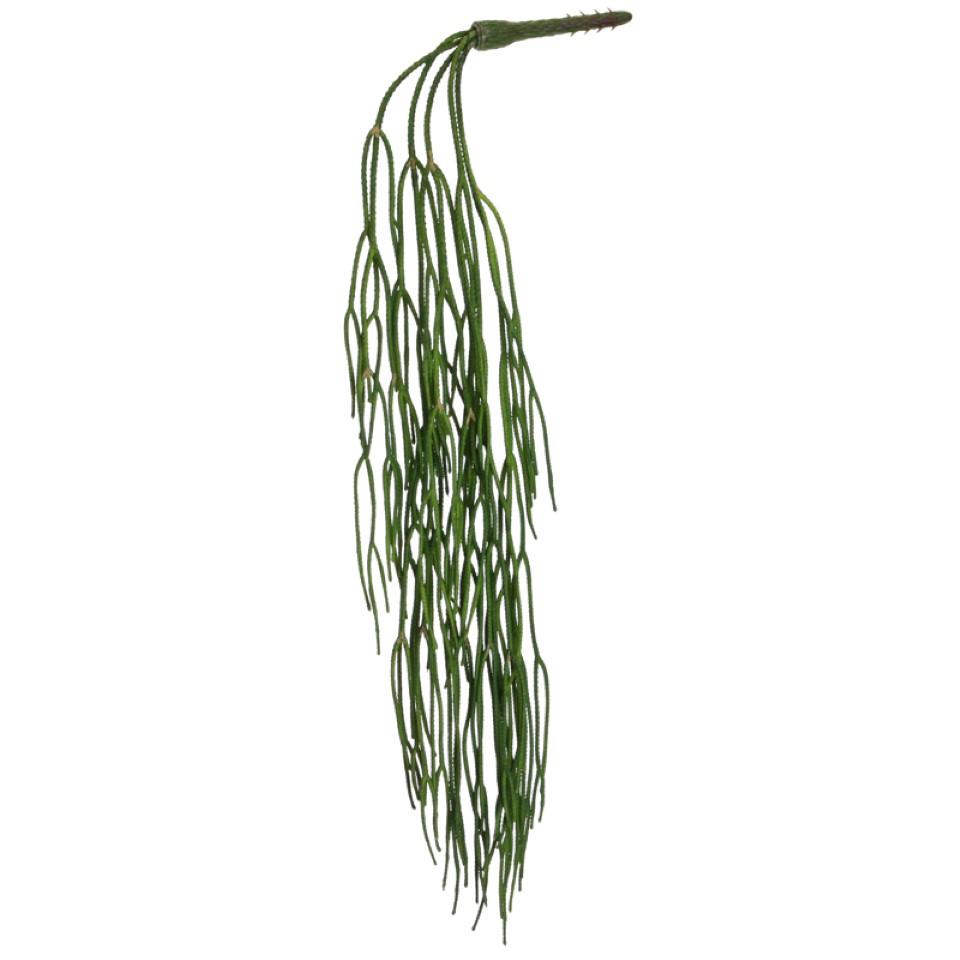 Kaktuspflanze hängend grün L72cm