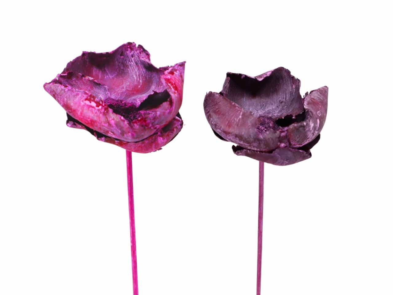 Palmblüte gestielt D6-8H4-5L40cm sortiert erika-brombeer