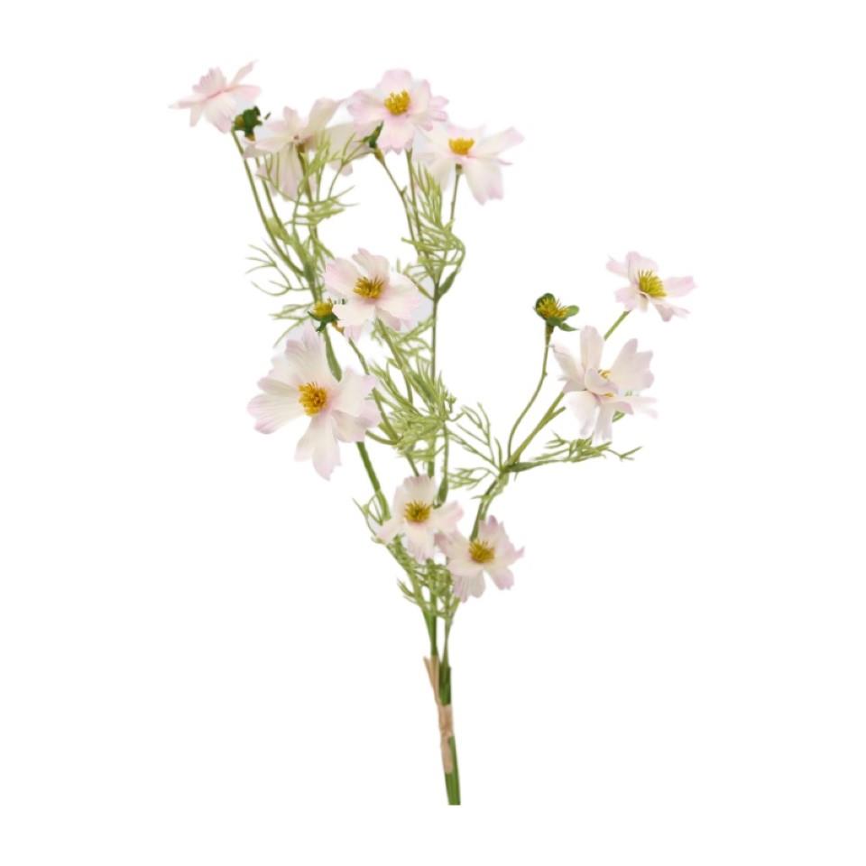 Cosmea-Bund 4fach rosa H51cm Cosmea-Bund 4fach rosa H51cm