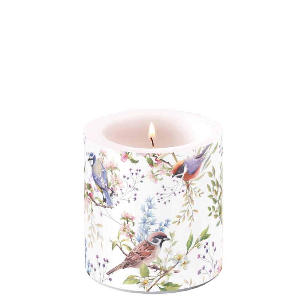 Kerze H 9 cm D 7,5 cm Busy Birds